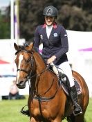 Image 5 in SHOW JUMPING AT ROYAL NORFOLK SHOW 2014