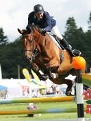 Image 7 in SHOW JUMPING AT ROYAL NORFOLK SHOW 2014