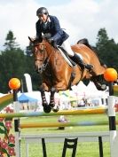 Image 8 in SHOW JUMPING AT ROYAL NORFOLK SHOW 2014