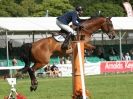 Image 9 in SHOW JUMPING AT ROYAL NORFOLK SHOW 2014