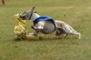 Image 31 in 3RD WCRA CHAMPIONSHIP AUG. 2014