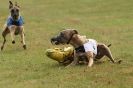 Image 33 in 3RD WCRA CHAMPIONSHIP AUG. 2014