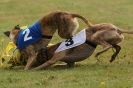 Image 34 in 3RD WCRA CHAMPIONSHIP AUG. 2014