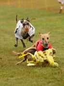 Image 36 in 3RD WCRA CHAMPIONSHIP AUG. 2014