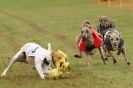 Image 44 in 3RD WCRA CHAMPIONSHIP AUG. 2014