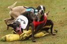 Image 52 in 3RD WCRA CHAMPIONSHIP AUG. 2014