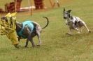 Image 60 in 3RD WCRA CHAMPIONSHIP AUG. 2014