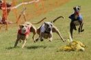 Image 83 in 3RD WCRA CHAMPIONSHIP AUG. 2014