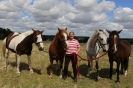 MILESTONE STABLES AND LIVERY YARD