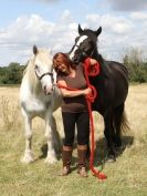 Image 39 in MILESTONE STABLES AND LIVERY YARD