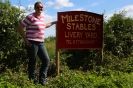 Image 5 in MILESTONE STABLES AND LIVERY YARD