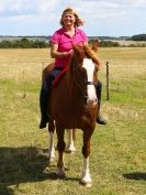 Image 80 in MILESTONE STABLES AND LIVERY YARD