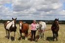 Image 93 in MILESTONE STABLES AND LIVERY YARD