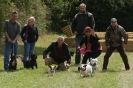Image 3 in CANINE FUN DAY. THE TERRIERS