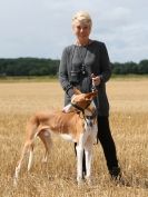 Image 10 in CANINE FUN DAY. PEOPLE AND THEIR DOGS