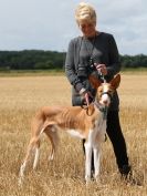 Image 12 in CANINE FUN DAY. PEOPLE AND THEIR DOGS