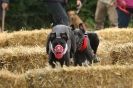 Image 31 in CANINE FUN DAY. PEOPLE AND THEIR DOGS