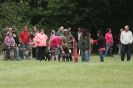 Image 32 in CANINE FUN DAY. LURCHER LURE COURSING AND RACING