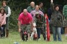 Image 33 in CANINE FUN DAY. LURCHER LURE COURSING AND RACING