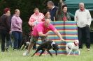Image 38 in CANINE FUN DAY. LURCHER LURE COURSING AND RACING