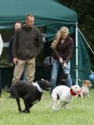 Image 39 in CANINE FUN DAY. LURCHER LURE COURSING AND RACING