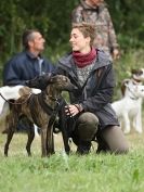 Image 43 in CANINE FUN DAY. LURCHER LURE COURSING AND RACING