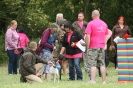 Image 44 in CANINE FUN DAY. LURCHER LURE COURSING AND RACING