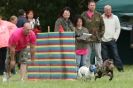 Image 46 in CANINE FUN DAY. LURCHER LURE COURSING AND RACING