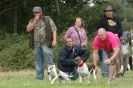 Image 49 in CANINE FUN DAY. LURCHER LURE COURSING AND RACING