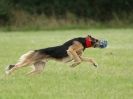 Image 58 in CANINE FUN DAY. LURCHER LURE COURSING AND RACING