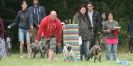 Image 59 in CANINE FUN DAY. LURCHER LURE COURSING AND RACING