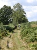 Image 7 in JAN  JILL  AND  LEIGH AT DUNWICH/WALBERSWICK