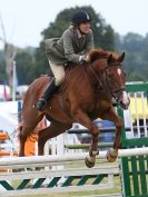 Image 10 in AYLSHAM SHOW JUMPING  ETC.  2014