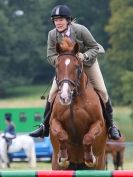 Image 11 in AYLSHAM SHOW JUMPING  ETC.  2014