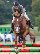 Image 12 in AYLSHAM SHOW JUMPING  ETC.  2014