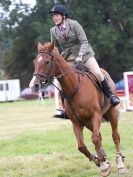 Image 14 in AYLSHAM SHOW JUMPING  ETC.  2014