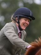 Image 15 in AYLSHAM SHOW JUMPING ETC. 2014