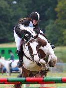 Image 16 in AYLSHAM SHOW JUMPING  ETC.  2014