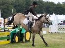 Image 28 in AYLSHAM SHOW JUMPING ETC. 2014