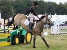 Image 28 in AYLSHAM SHOW JUMPING  ETC.  2014