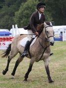 Image 29 in AYLSHAM SHOW JUMPING ETC. 2014