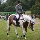 Image 44 in AYLSHAM SHOW JUMPING  ETC.  2014