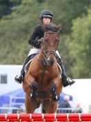 Image 5 in AYLSHAM SHOW JUMPING ETC. 2014
