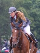 Image 51 in AYLSHAM SHOW JUMPING ETC. 2014