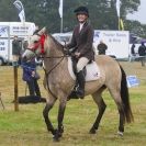 Image 55 in AYLSHAM SHOW JUMPING ETC. 2014