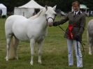 Image 62 in AYLSHAM SHOW JUMPING ETC. 2014