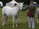 Image 62 in AYLSHAM SHOW JUMPING  ETC.  2014