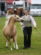 Image 65 in AYLSHAM SHOW JUMPING  ETC.  2014