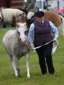 Image 66 in AYLSHAM SHOW JUMPING ETC. 2014
