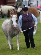 Image 66 in AYLSHAM SHOW JUMPING  ETC.  2014